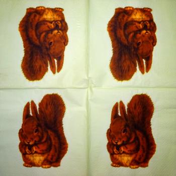048 Eichhörnchen - 3-ply (grün)